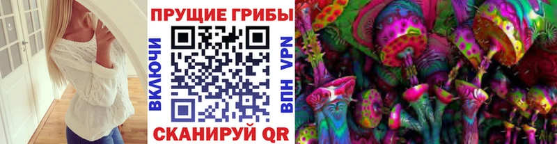 дарк нет клад  Борисоглебск  Галлюциногенные грибы мицелий 